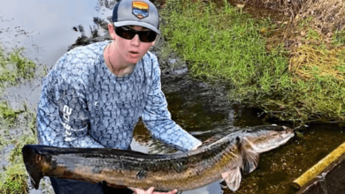 Bass Fishing Productions Net Worth