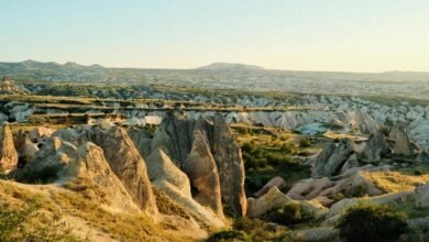 check relief grant status
