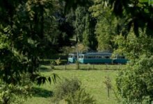 fraud prevention hotline advisory council