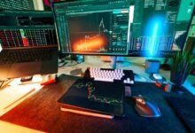 network fraud identification process